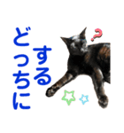 クロ＆ハッチ  その陸（個別スタンプ：20）
