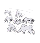 日々のゴリラスタンプ（個別スタンプ：17）