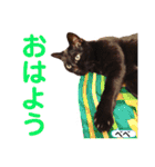 クロ＆ハッチ  お友達(べべ＆玉三郎)（個別スタンプ：3）