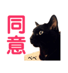 クロ＆ハッチ  お友達(べべ＆玉三郎)（個別スタンプ：9）