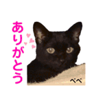 クロ＆ハッチ  お友達(べべ＆玉三郎)（個別スタンプ：10）