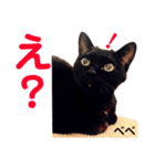 クロ＆ハッチ  お友達(べべ＆玉三郎)（個別スタンプ：14）