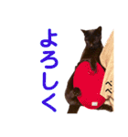 クロ＆ハッチ  お友達(べべ＆玉三郎)（個別スタンプ：18）