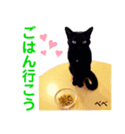 クロ＆ハッチ  お友達(べべ＆玉三郎)（個別スタンプ：19）