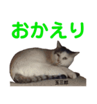 クロ＆ハッチ  お友達(べべ＆玉三郎)（個別スタンプ：23）