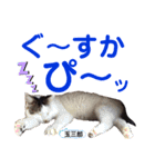 クロ＆ハッチ  お友達(べべ＆玉三郎)（個別スタンプ：27）