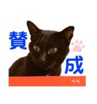 クロ＆ハッチ  お友達(べべ＆玉三郎)（個別スタンプ：32）