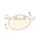 まるまるぴよぴよ（個別スタンプ：8）