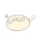 まるまるぴよぴよ（個別スタンプ：19）