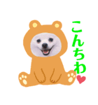 I'm わたがし♡ʾʾパート②（個別スタンプ：4）