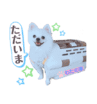 I'm わたがし♡ʾʾパート②（個別スタンプ：5）