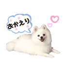 I'm わたがし♡ʾʾパート②（個別スタンプ：6）