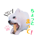 I'm わたがし♡ʾʾパート②（個別スタンプ：7）