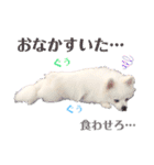 I'm わたがし♡ʾʾパート②（個別スタンプ：13）