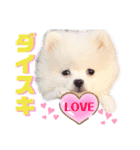 I'm わたがし♡ʾʾパート②（個別スタンプ：15）