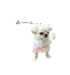 たら子にございます。（個別スタンプ：7）