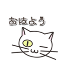 オッドアイのしろちゃん 普段使いスタンプ（個別スタンプ：1）