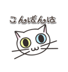 オッドアイのしろちゃん 普段使いスタンプ（個別スタンプ：3）