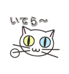 オッドアイのしろちゃん 普段使いスタンプ（個別スタンプ：5）