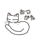 オッドアイのしろちゃん 普段使いスタンプ（個別スタンプ：8）