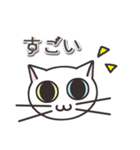 オッドアイのしろちゃん 普段使いスタンプ（個別スタンプ：19）