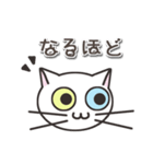 オッドアイのしろちゃん 普段使いスタンプ（個別スタンプ：20）