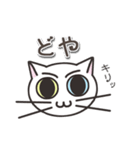 オッドアイのしろちゃん 普段使いスタンプ（個別スタンプ：21）