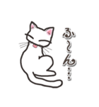 オッドアイのしろちゃん 普段使いスタンプ（個別スタンプ：23）