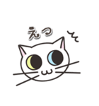 オッドアイのしろちゃん 普段使いスタンプ（個別スタンプ：33）