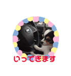 ほのいち☆（個別スタンプ：11）