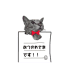 猫のいぶちゃん（個別スタンプ：3）