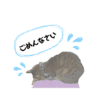 猫のいぶちゃん（個別スタンプ：7）
