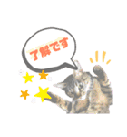 猫のいぶちゃん（個別スタンプ：9）