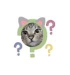 猫のいぶちゃん（個別スタンプ：10）