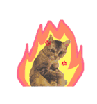 猫のいぶちゃん（個別スタンプ：21）