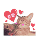 猫のいぶちゃん（個別スタンプ：30）
