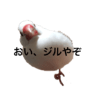 ジルちゃんの憎めないスタンプ（個別スタンプ：5）