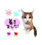 リンのスタンプ＊（個別スタンプ：7）