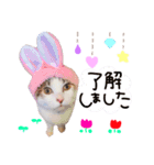 リンのスタンプ＊（個別スタンプ：13）