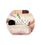 れんれん0731（個別スタンプ：2）