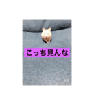 おれのスタンプてきとうに作りました（個別スタンプ：5）