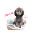 私はメルシー！（個別スタンプ：1）