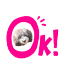 私はメルシー！（個別スタンプ：7）