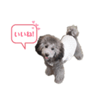 私はメルシー！（個別スタンプ：10）