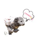 私はメルシー！（個別スタンプ：18）