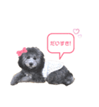 私はメルシー！（個別スタンプ：20）