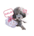 私はメルシー！（個別スタンプ：21）