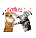 ありがとにゃんず！（個別スタンプ：10）