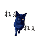 ありがとにゃんず！（個別スタンプ：23）