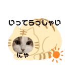 ヒロポンの猫のスタンプ（個別スタンプ：5）